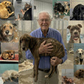 Support Our Shelter