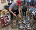 Support Our Shelter