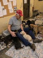 Support Our Shelter